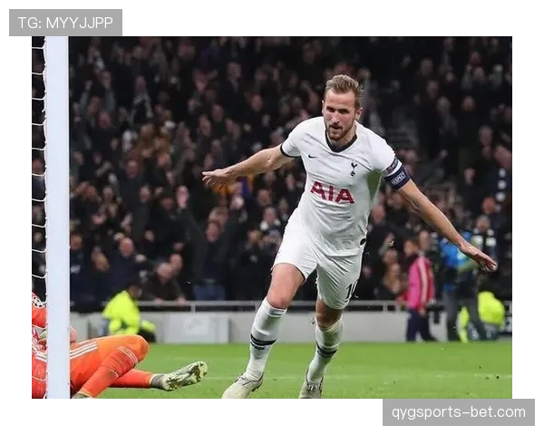 格里兹曼回撤组织与串联作用解析