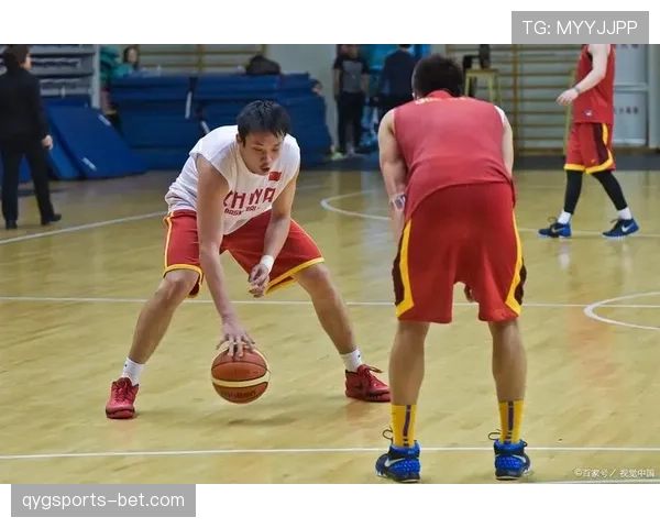 全面解析干扰球国际规则差异的具体标准